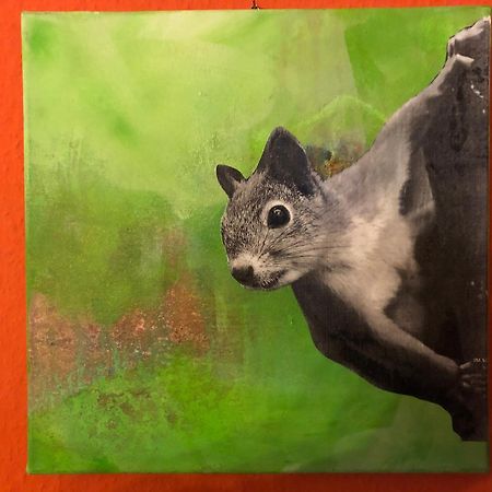 ハウス アム クアパーク ホテル ガルニ Schömberg 部屋 写真